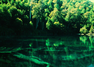 LAGO ARCOIRIS