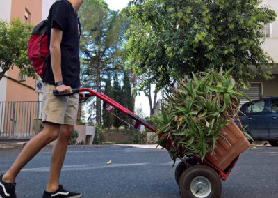 PLANT TRANSFER