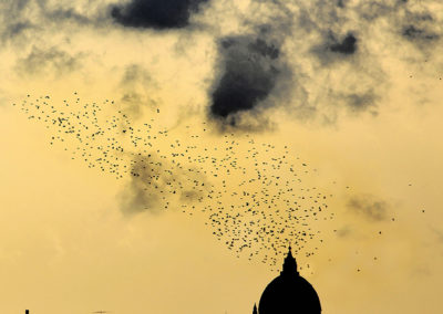 VOLO DALLA CUPOLA