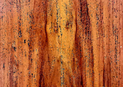 JESUS ON WOOD