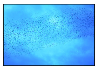 VOLO SU AZZURRO