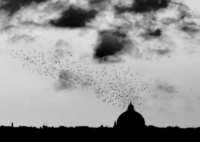 VOLO DALLA CUPOLA B/N